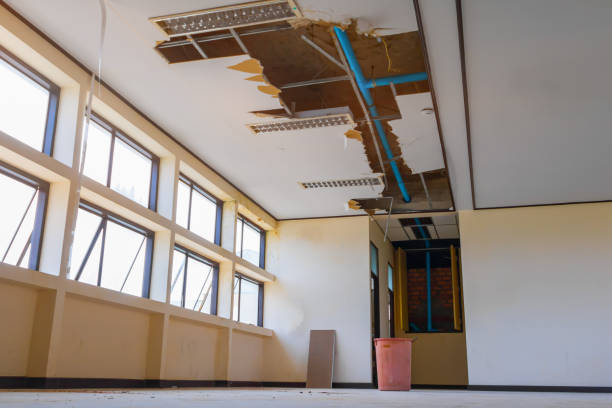 Best Carpet water damage restoration  in Chaska, MN