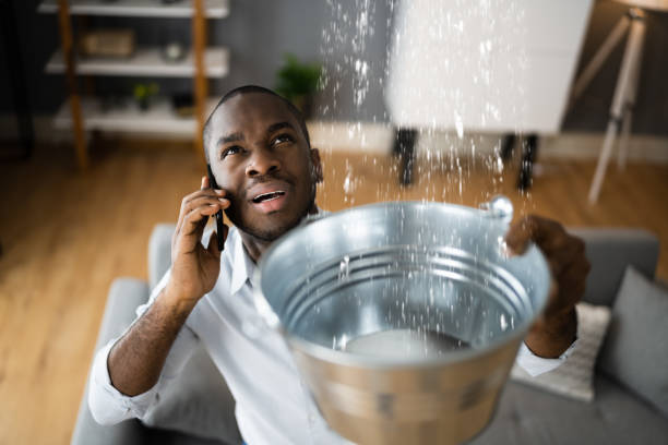 Best Water damage cleanup near me  in Chaska, MN
