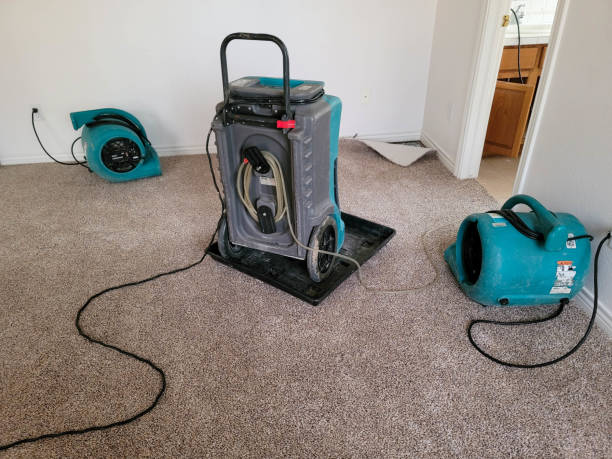 Best Flood restoration services  in Chaska, MN