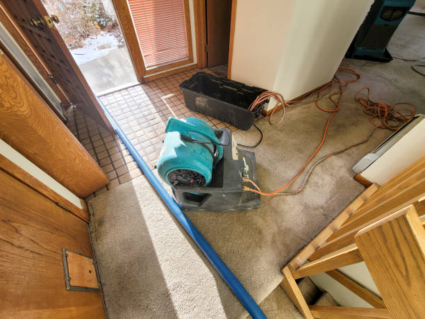Best Water damage restoration company  in Chaska, MN