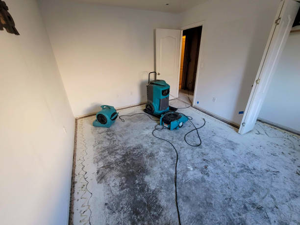 Best Emergency water damage restoration  in Chaska, MN