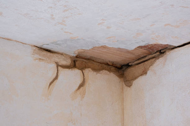 Best Flood restoration services  in Chaska, MN