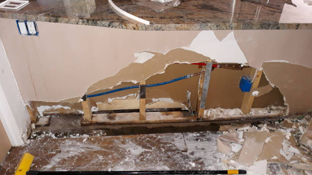 Best Fire Damage Restoration  in Chaska, MN