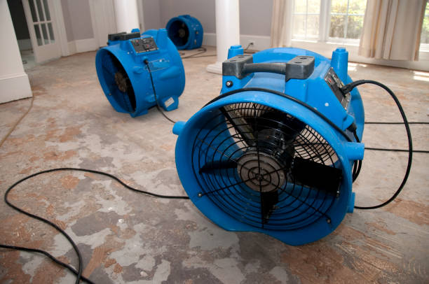 Local water damage restoration in Chaska, MN