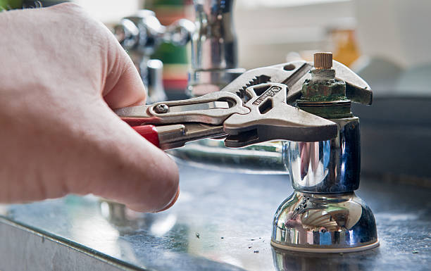 Best Flooded house restoration  in Chaska, MN