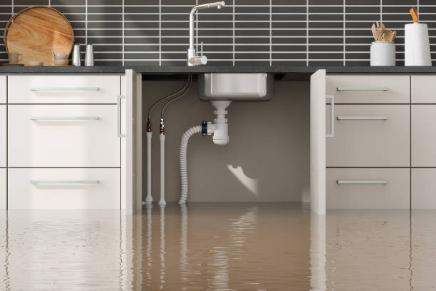 Trusted Chaska, MN Water damage restoration Experts