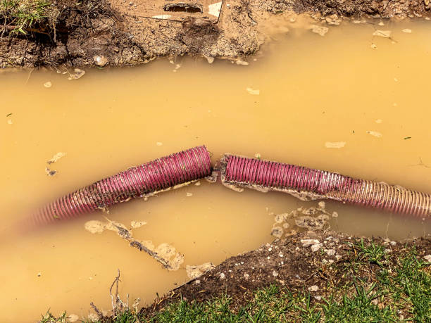 Best Water damage cleanup near me  in Chaska, MN