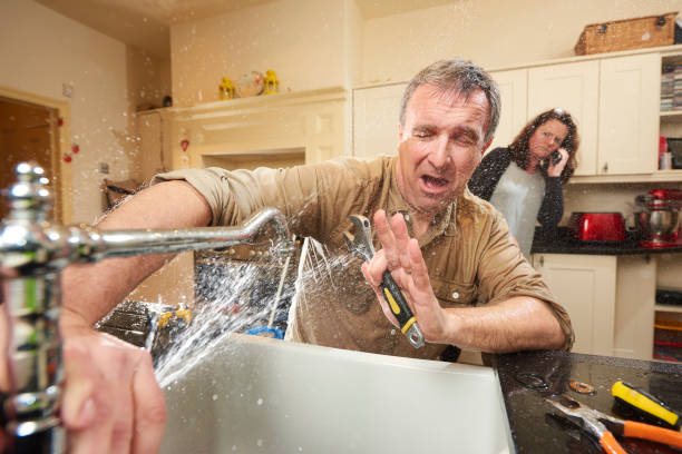 Best Local water damage restoration  in Chaska, MN